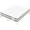 Leonis - Ensemble Matelas + 2 Sommiers Leon gris/blanc - 2x80x200 cm 1...