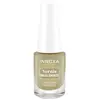 Innoxa Vernis à Ongles N°905 Fluid 5ml
