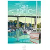 SAINT-BRIEUC Qui Dit Mieux 1000 Pièces  La Loutre