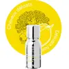 Mon shampoing Booster Cuir Chevelu Délicat