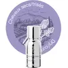 Mon shampoing Booster Cheveux Secs et Frisés