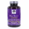 New Nordic Gummies Blue Berry 60 gums