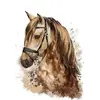 Figured'Art Peinture par Numéro Adulte Cheval brun - Kit de Loisir Créatif DIY Numéro d'Art - 40x50cm sans châssis