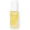 La Rosée Sérum Repulpant Visage aux 4 Huiles Végétales 30ml