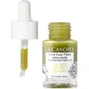 LA CANOPEE Sérum antioxydant - Thé vert, vitamine E & romarin - Visage - 15 ml