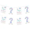 Guirlande fanions en papier "Prince ou Princesse ?" - 5m