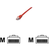 Câble réseau MCL FCC5EM-0.5M/R - 50 cm Catégorie 5e - RJ-45 mâle - Rouge