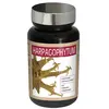 NutriExpert Harpagophytum 60 gélules