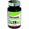 NutriExpert Prostagenol 60 gélules