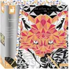 Juratoys Kit créatif Janod Scratch art animetrix