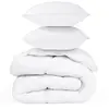 Idomya - Couette 700gsm + 2 oreillers colibri blanc - 200x200 cm 200x2...
