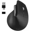 Mobility Lab Souris Ergonomique sans fil - - ML313139 - Plug & Play, pas besoin de driver