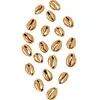 Coquillages - Non spécifié - 20 Coquillages Dorés - 2x1.5 cm - Décoratifs - Mixte
