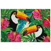 IDMAT Tapis coco blanchi toucans / pvc 40x60 cm