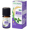 Naturactive Huile Essentielle Bio Laurier Noble 5ml