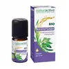 NATURACTIVE Huile Essentielle Bio Ravintsara flacon 5ml