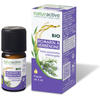 Naturactive Huile Essentielle Bio Romarin à Verbénone 5ml