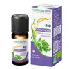 Naturactive Huile Essentielle Bio Coriandre 10ml
