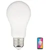 Ampoule Led Standard E27 RGB KOZII Blanche opaque
