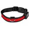 Collier pour chien lumineux Eyenimal® USB rechargeable rouge