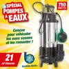 Ribiland - ribimex - Pompe à eau de relevage 750 w ( eaux vannes )