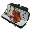 Vendome Gramont violon 4/4 avec archet et housse