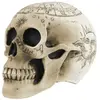 Crâne squelette pentagramme 18cm FETE-902418