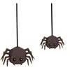 Non communiqué Suspensions Araignee 5 pcs - Decoration