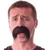 PARTY PRO Moustache épaisse tombante noire