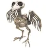 Squelette de Corbeau