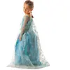 Déguisement Princesse des Glaces