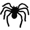 Mygale noir 46cm pour Haloween