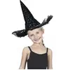 PartyPro Chapeau sorciere etoiles irisees luxe enfant