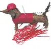 Pinata Teckel 40cm