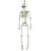 Squelette articule 40 cm Halloween