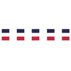 Guirlande drapeaux France 3 mètres
