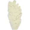 Party Pro 333FS23, Bouquet de Pampas Asparagus Blanc 70 cm