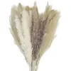 Bouquet fourni de Fleurs séchées Naturelles assorties 60cm