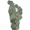 Bouquet de Feuillages de Pommier VERT 60 cm