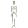 Squelette phosphorescent 150 cm