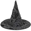 Chapeau de sorciere avec toile d'araignee