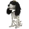 Squelette de petit chien assis 26 cm