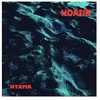 Nyama Hoazin (Interprète) Vinyle album