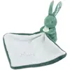 Lapin avec Doudou VERT Doudou & Compagnie