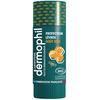 Dermophil Indien Stick Lèvres Protection Goût Miel Bio 4g