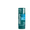 Dermophil Indien Sticks Protection Lèvres Desséchées Bio 4g
