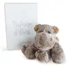 Histoire d'ours SWEETY MOUSSE PM - Hippo