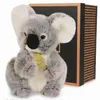 Doudou et Compagnie Histoire d'Ours Peluche Les Authentiques Koala
