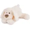 Doudou et Compagnie Doudou Histoire D'ours Chien Cookie Blanc 40cms Ho2320