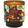COLLINESPROVENCE collines de provence - Fraîcheur Végétale Fleur de Paradis Bougies 220 g unisex